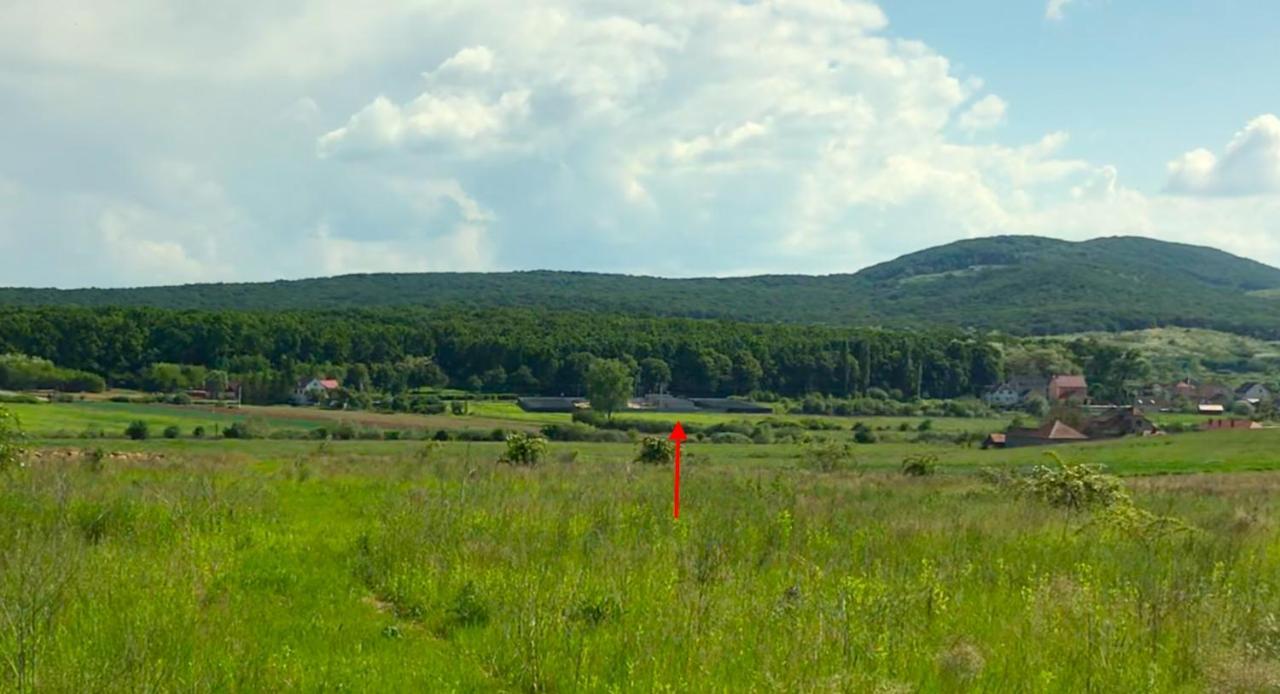Canada Berehove (Transcarpathia) Exterior foto